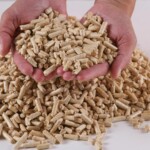 Poils à granuler Poils à granuler